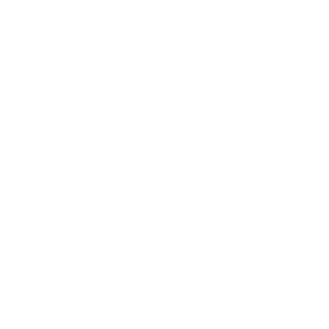 Noize Custom Logo